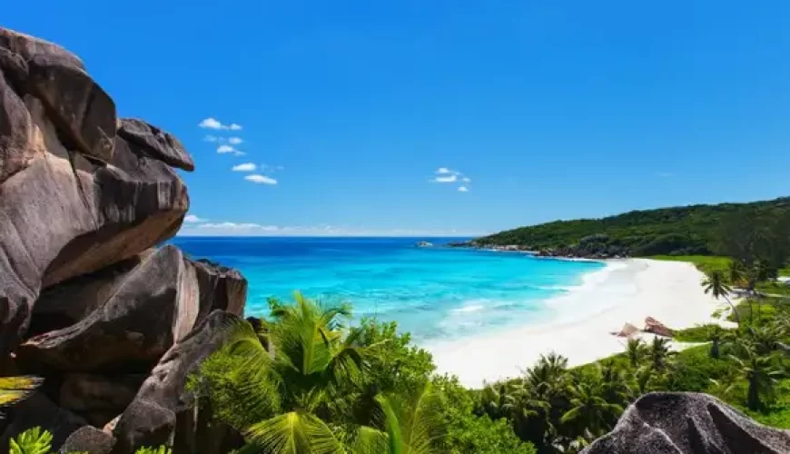 Ecstatic Seychelles Sightseeing Tour Packages