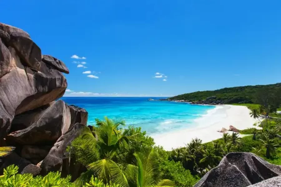 Ecstatic Seychelles Sightseeing Tour Packages