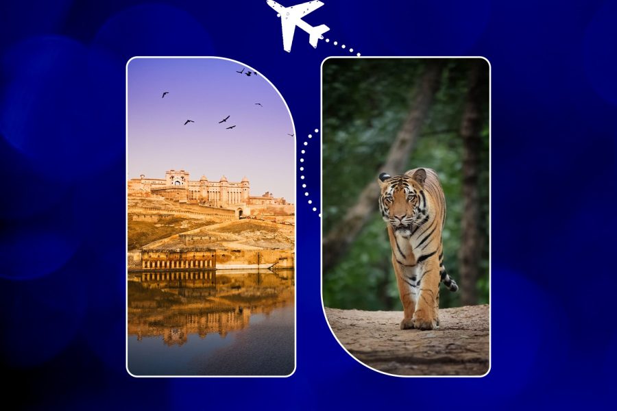 Jaipur Ranthambore Tour Package