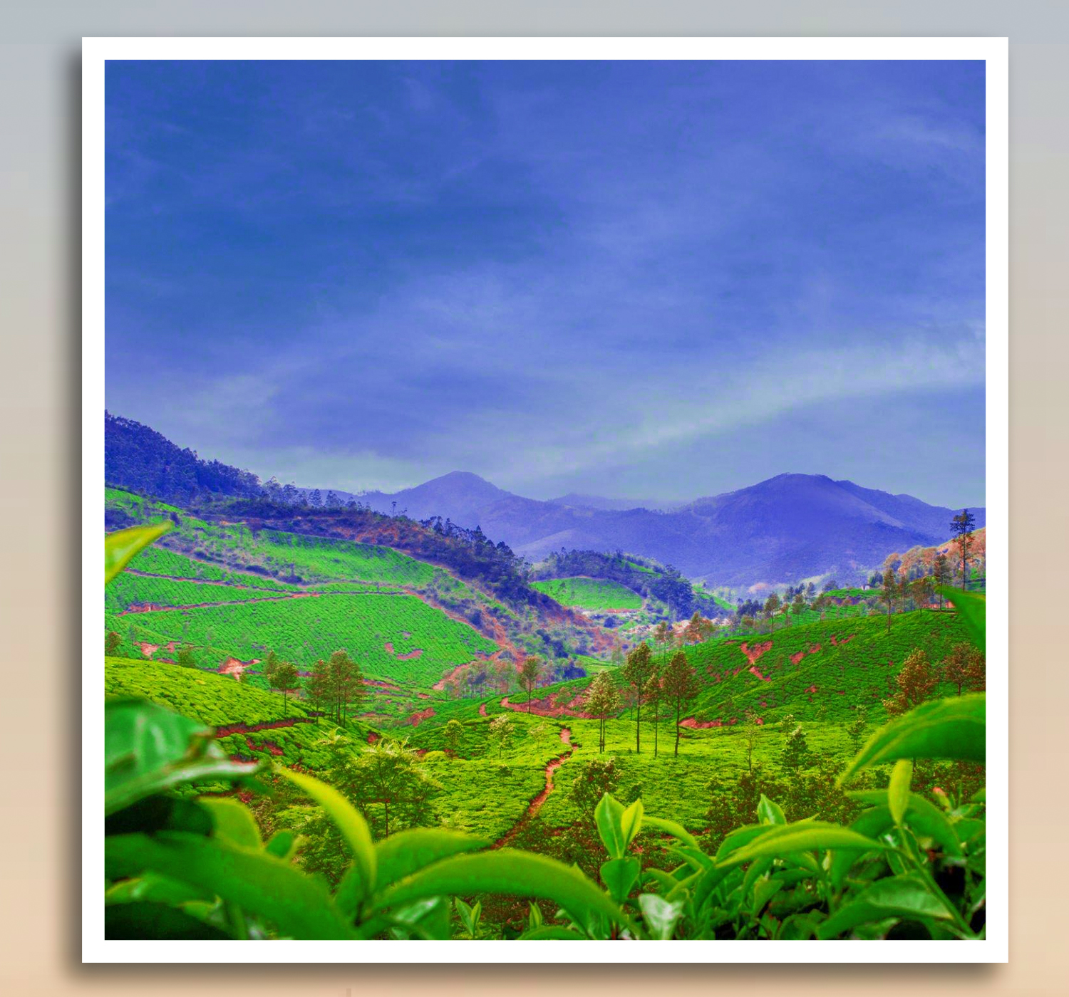 HILLS OF BENGAL (Lataguri 2N – Kalimpong 2N – Darjeeling 2N – Mirik 1N)