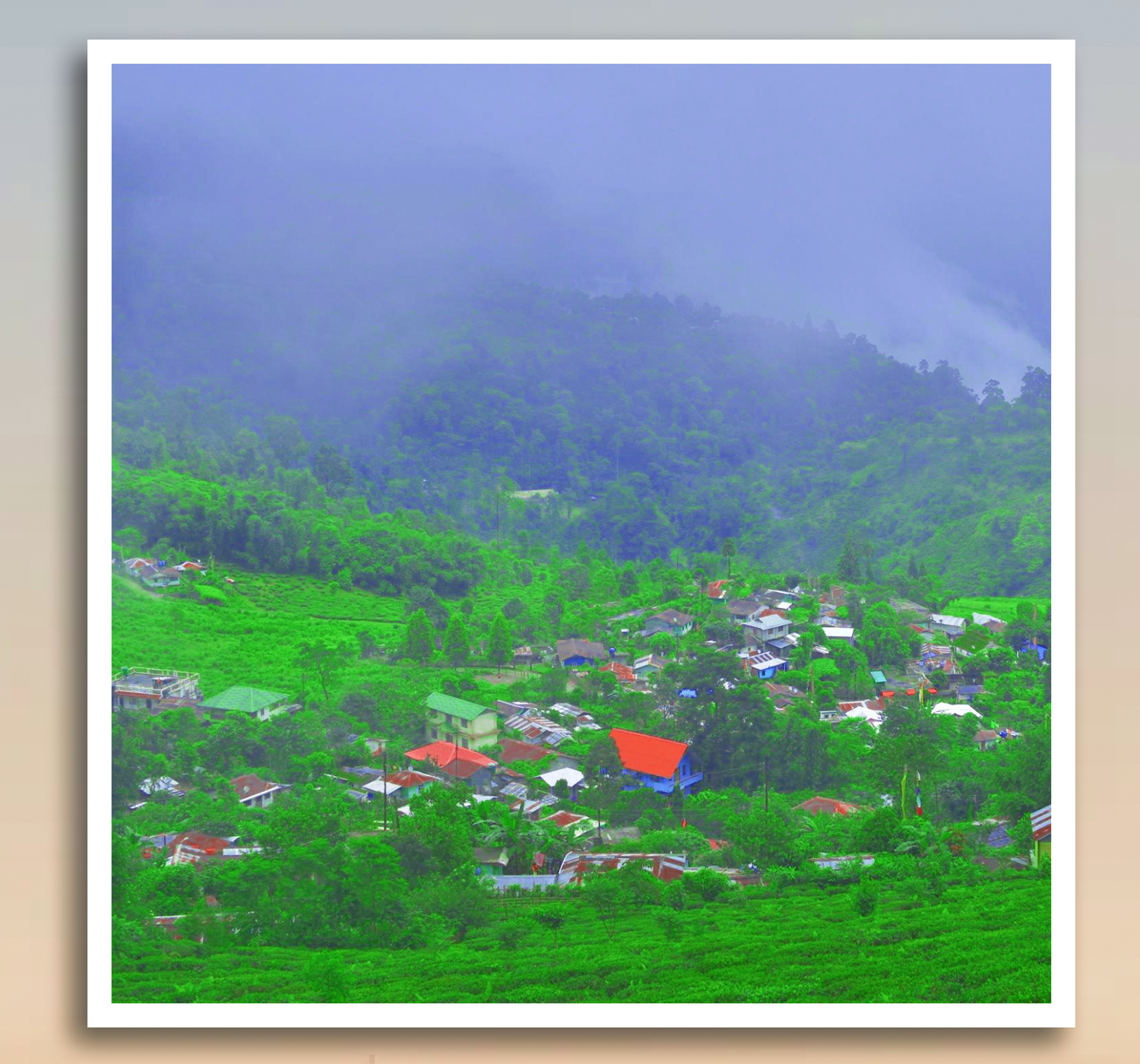 HILLS OF BENGAL (Lataguri 2N – Kalimpong 2N – Darjeeling 2N – Mirik 1N)