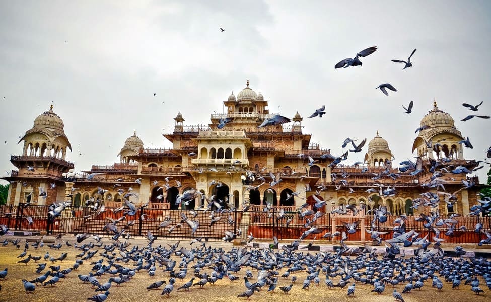 Top Tips for a Memorable Local Tour in Jaipur