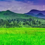 best araku valley honeymoon package tips