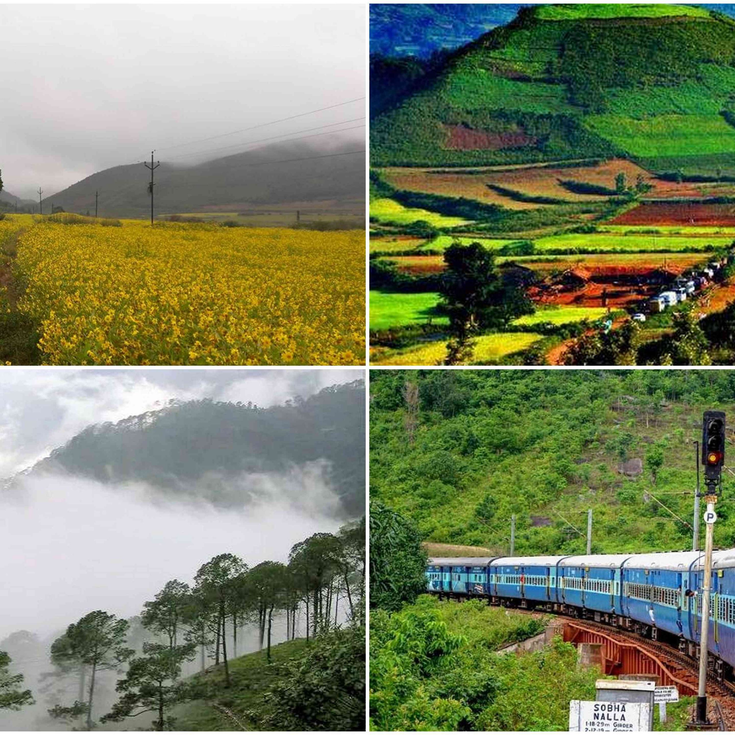 Best Travel Tips for Araku Valley from Vizag